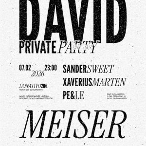 David Meiser - Private Party Vol.II